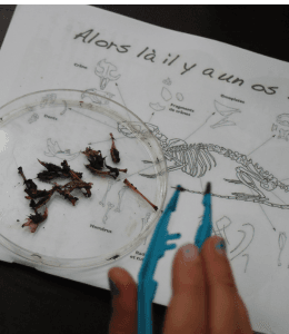 Projet de préservation et de développement de la biodiversité