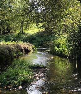 La gestion écologique des espaces verts : le défi du futur à relever
